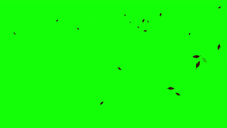 Pflanzenbaumblätter,-Die-Auf-Wind-Fliegen,-Symbolschleifenanimationsvideo,-Transparenter-Hintergrund-Mit-Alphakanal